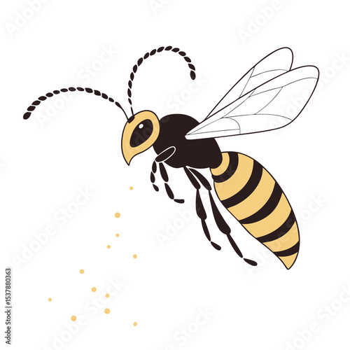 bee on a white
