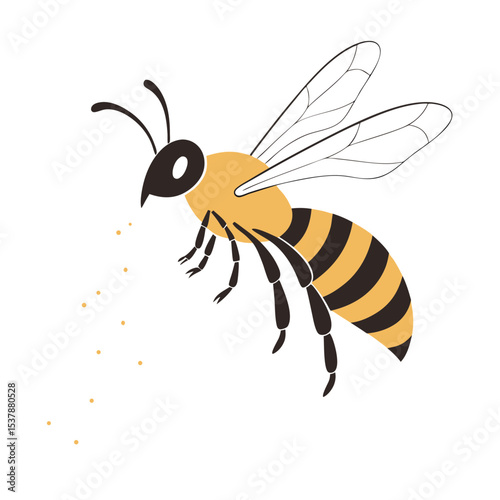 bee and honey