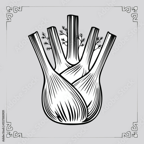 Fennel line drawing featuring smooth sketch-style strokes in a refined black and white vector design.
