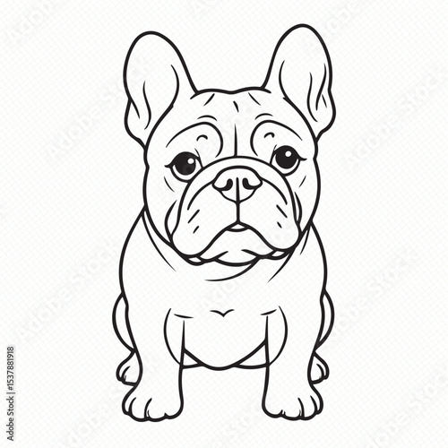 english bulldog puppy