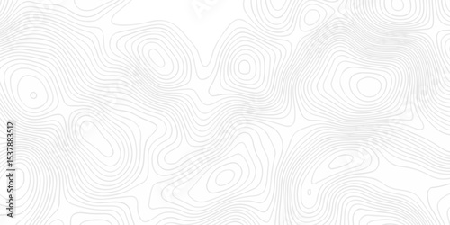 Topographic seamless map pattern with contour lines. Abstract geographic elevation design, lines sea map modern white background. 