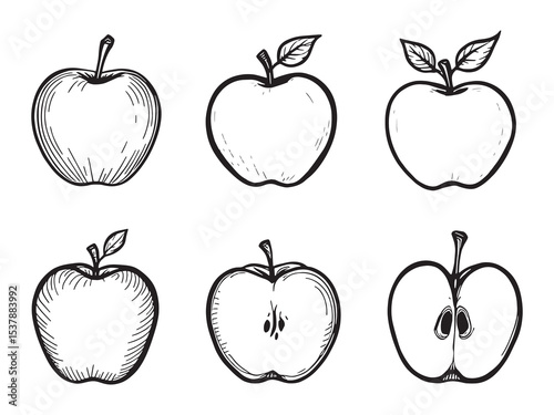 Apple fruit vector art design