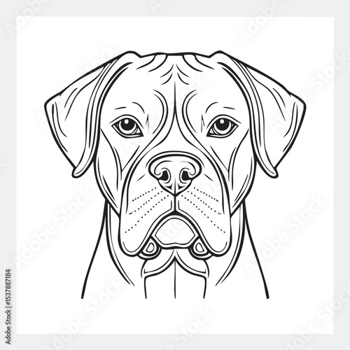 Boxer dog line drawing featuring smooth sketch-style strokes in a refined black and white vector design.