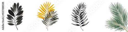 Vibrant tropical palm leaves in various shades