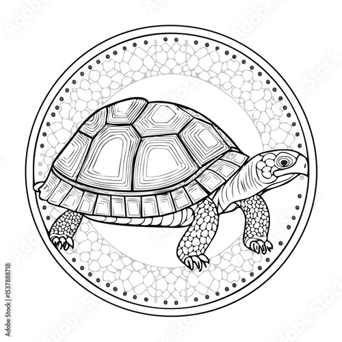 Tortoise line drawing featuring smooth sketch-style strokes in a refined black and white vector design.