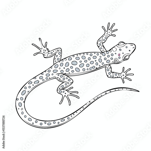 Leopard Gecko line drawing featuring smooth sketch-style strokes in a refined black and white vector design.