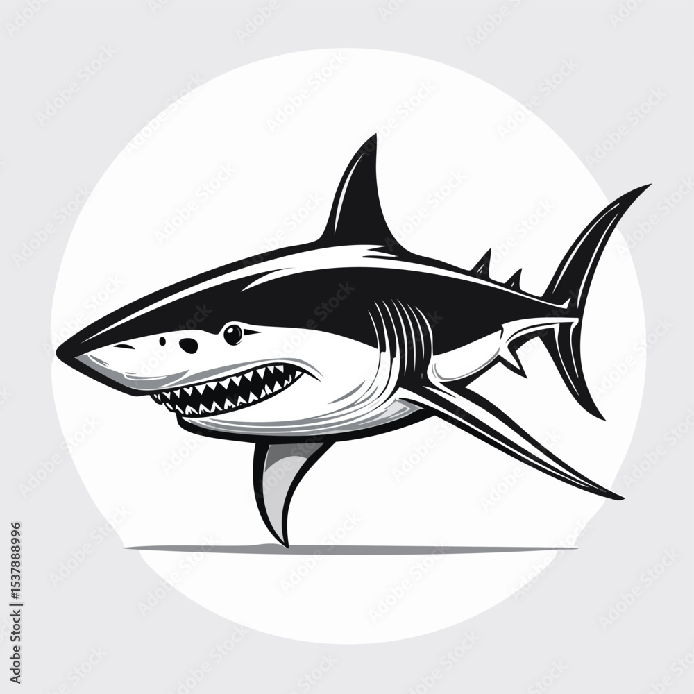Obraz premium Great White Shark line drawing featuring smooth sketch-style strokes in a refined black and white vector design.