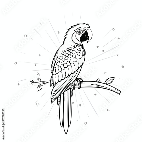 Scarlet Macaw line drawing featuring smooth sketch-style strokes in a refined black and white vector design.