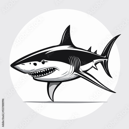 Great White Shark line drawing featuring smooth sketch-style strokes in a refined black and white vector design.