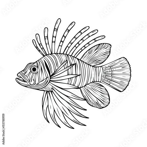Lionfish line drawing featuring smooth sketch-style strokes in a refined black and white vector design.