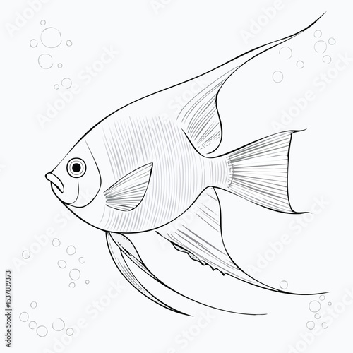 Angelfish  line drawing featuring smooth sketch-style strokes in a refined black and white vector design.