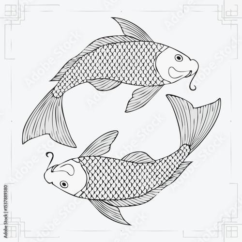 Koi line drawing featuring smooth sketch-style strokes in a refined black and white vector design.