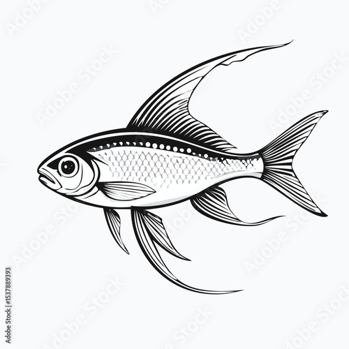 Neon Tetra line drawing featuring smooth sketch-style strokes in a refined black and white vector design.