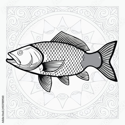 Carp line drawing featuring smooth sketch-style strokes in a refined black and white vector design.