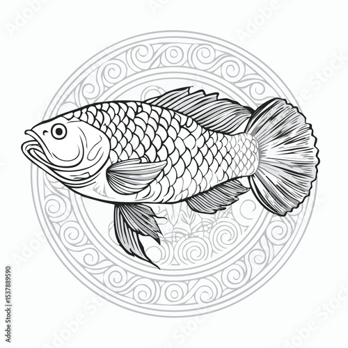 Asian Arowana line drawing featuring smooth sketch-style strokes in a refined black and white vector design.