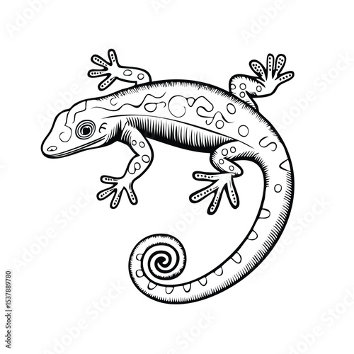 Tokay Gecko line drawing featuring smooth sketch-style strokes in a refined black and white vector design.