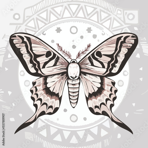 Atlas Moth line drawing featuring smooth sketch-style strokes in a refined black and white vector design.