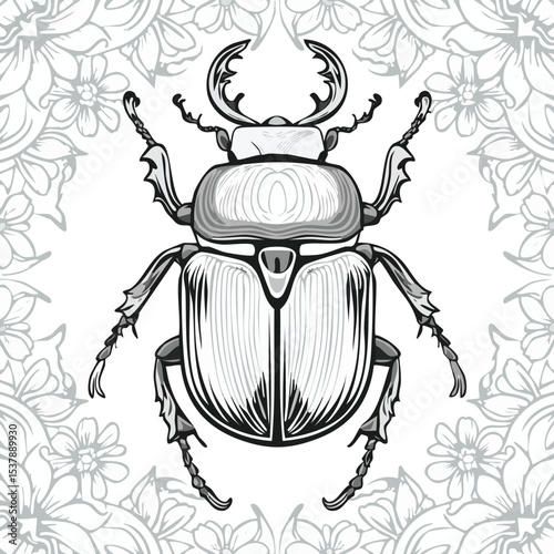 Hercules Beetle line drawing featuring smooth sketch-style strokes in a refined black and white vector design.