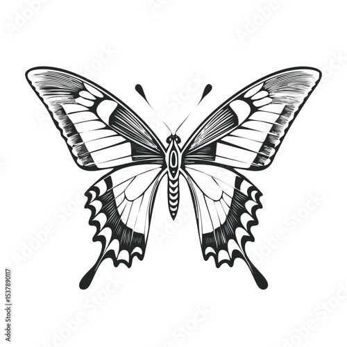 Swallowtail Butterfly line drawing featuring smooth sketch-style strokes in a refined black and white vector design.