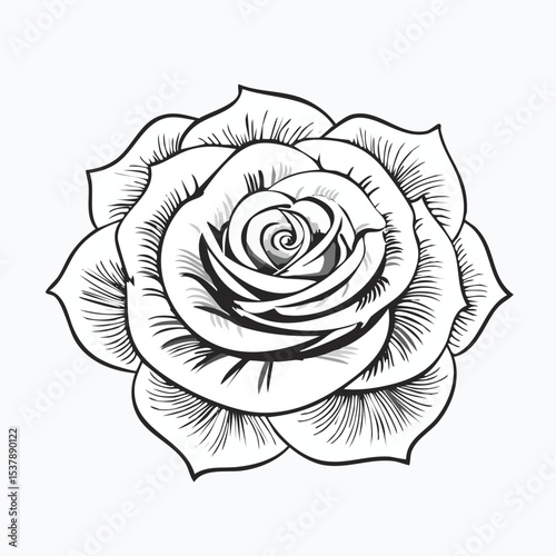 Rose line drawing featuring smooth sketch-style strokes in a refined black and white vector design.
