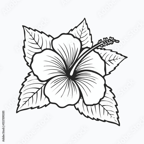 Hibiscus line drawing featuring smooth sketch-style strokes in a refined black and white vector design.