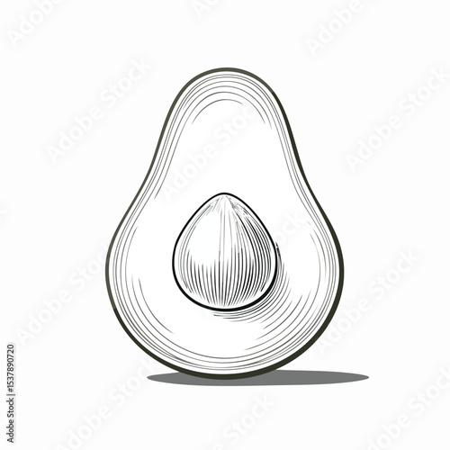 Avocado line drawing featuring smooth sketch-style strokes in a refined black and white vector design.