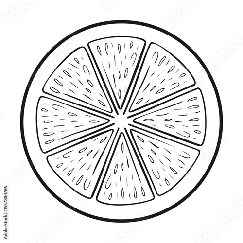 Grapefruit line drawing featuring smooth sketch-style strokes in a refined black and white vector design.