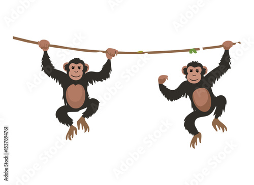Playful Monkeys Hanging and Resting