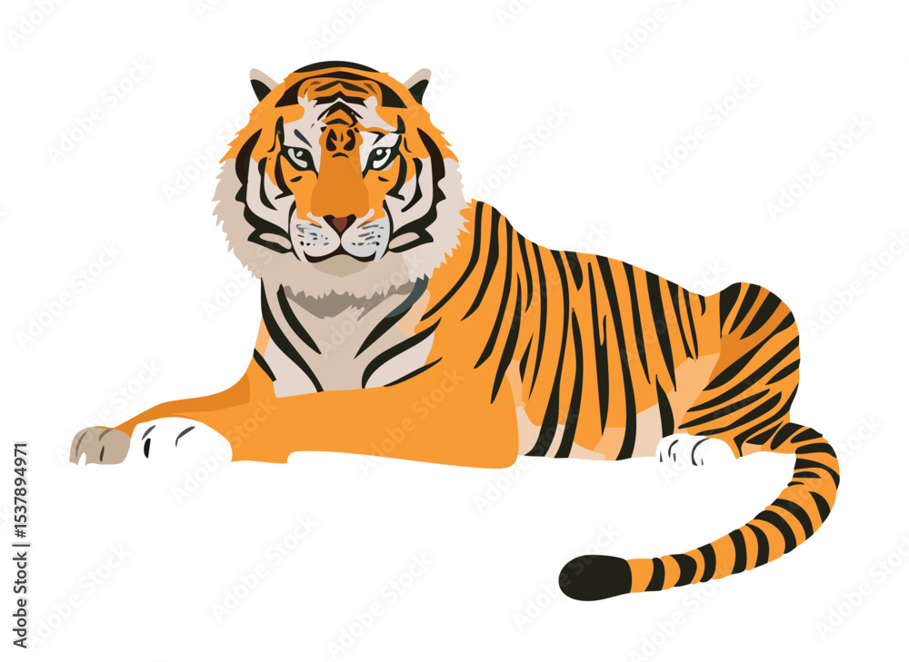 Obraz premium Powerful Tiger Lying Down Relaxed