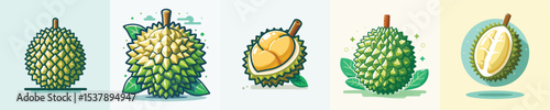 vector of a durian