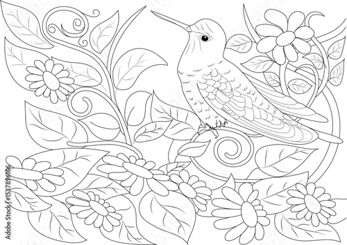 Hummingbird Perched on Branch with Flowers - Line Art Illustration, Detailed black and white line drawing of a hummingbird resting on a branch among decorative flowers and leaves. Perfect as a 