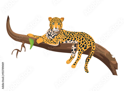 Leopard Resting on Tree Branch Illustration
