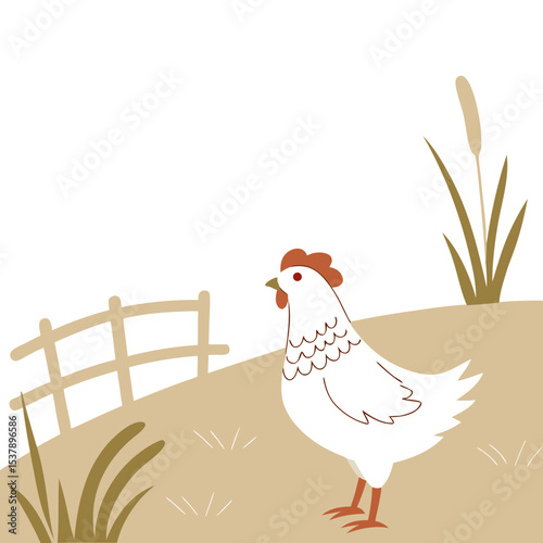 hen and rooster