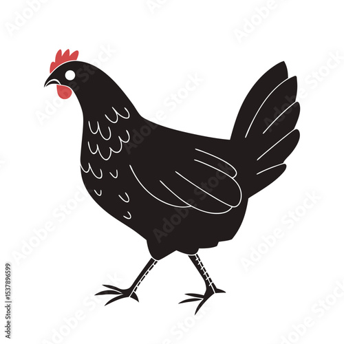 vector illustration of a chicken