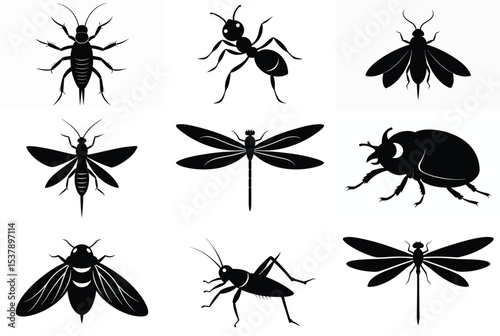 Collection of black insect silhouettes on white
