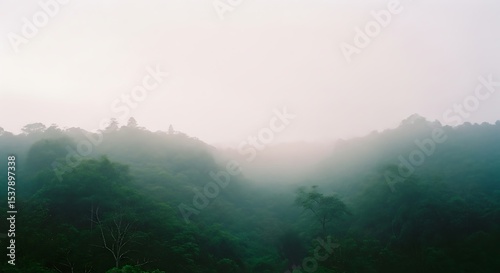 Misty Green Hills: A Tranquil Tropical Forest Under a Foggy Sky