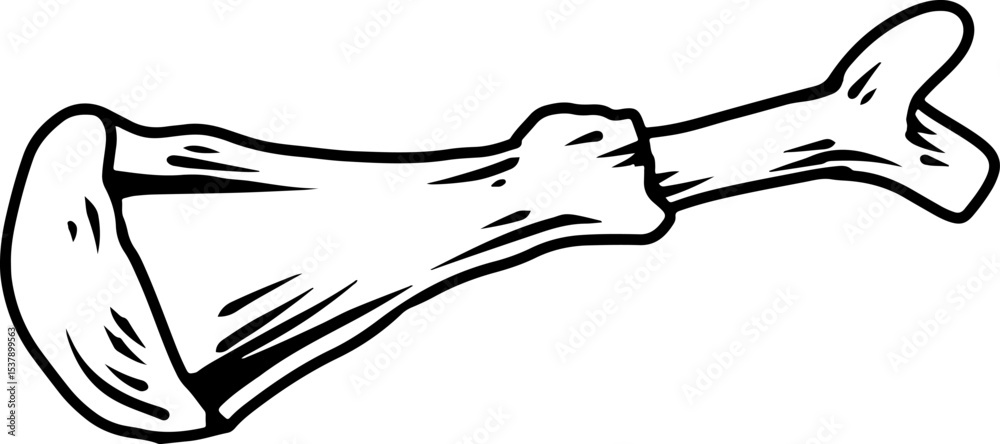 Chicken bone line drawing illustration Chicken bone line drawing illustration