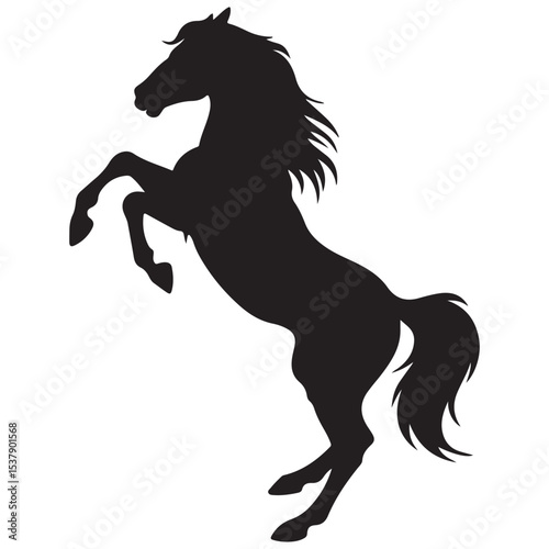 Rearing Horse Silhouette – Dynamic Equine Power & Elegance Isolated Vector Illustration,silhouette of rearing horse.