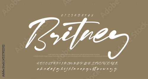 
Handwritten Brush font for lettering quotes. Hand drawn brush style modern calligraphy. 