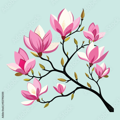 magnolia blossoms on multiple branches.