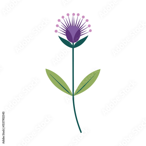 minimalist design of prairie clover flower art.