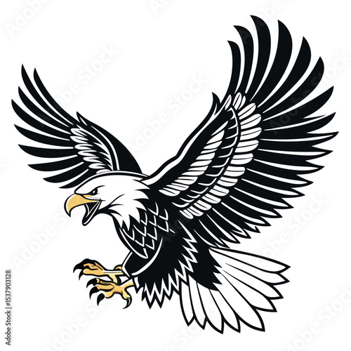 Angry bald eagle prepares to land with its wings fully spread on a white background