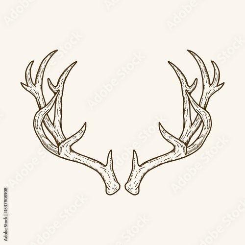 Deer Antlers Illustration, Vintage Antler Drawing, Rustic Hunting Decor