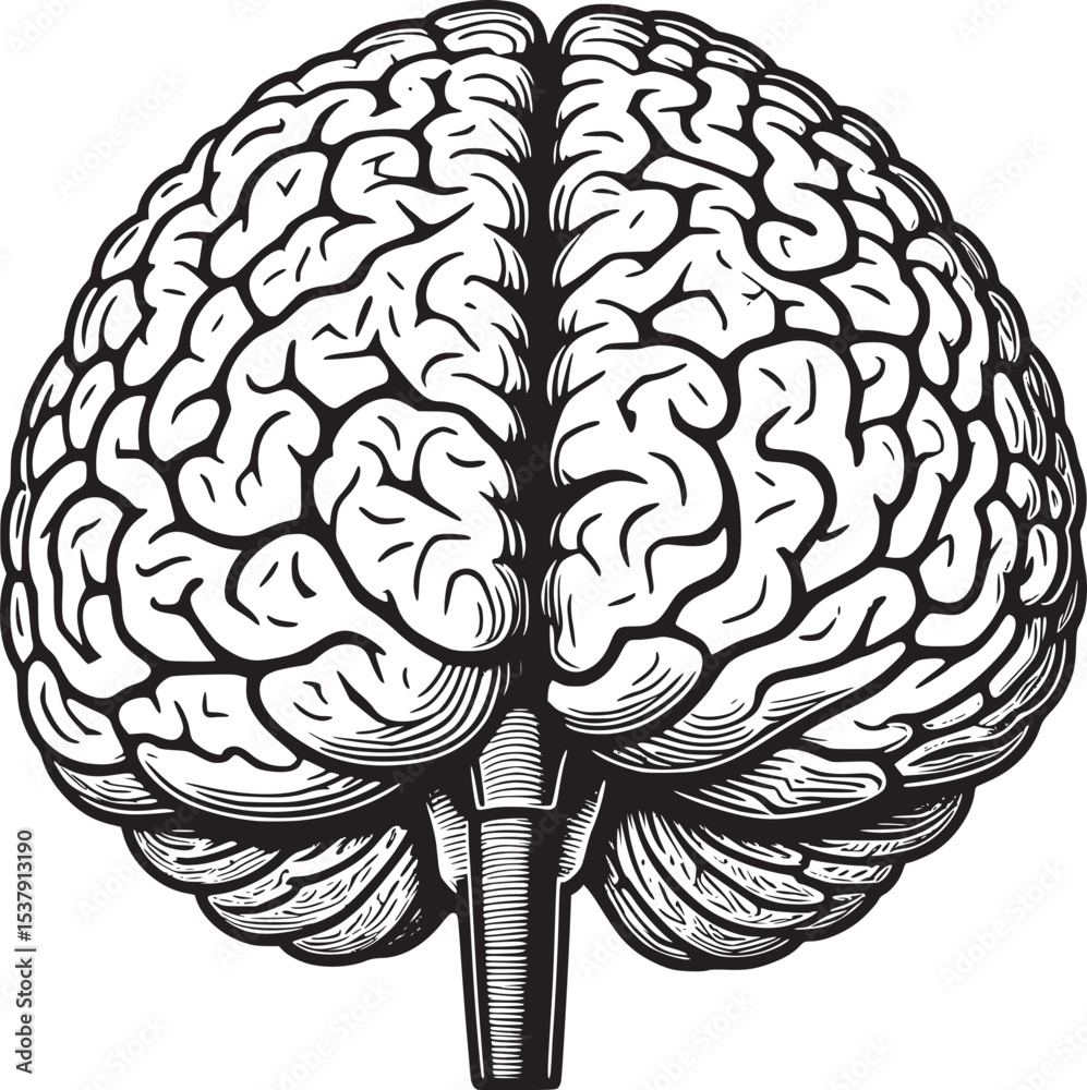 Fototapeta premium A clean black and white vector illustration of the human brain in abstract line style, ideal for education, science, or tech branding.