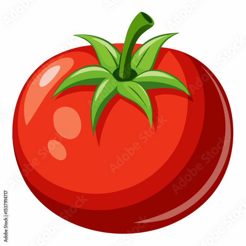tomato vector 