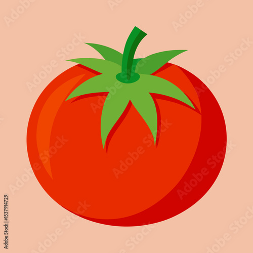 tomato vector 