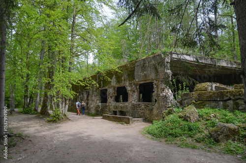 remains of buildings, trees, the concrete town of bunkers Wolf's Lair in Gierłoż near Kętrzyn