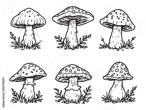 Forest mushroom Line Art Illustration