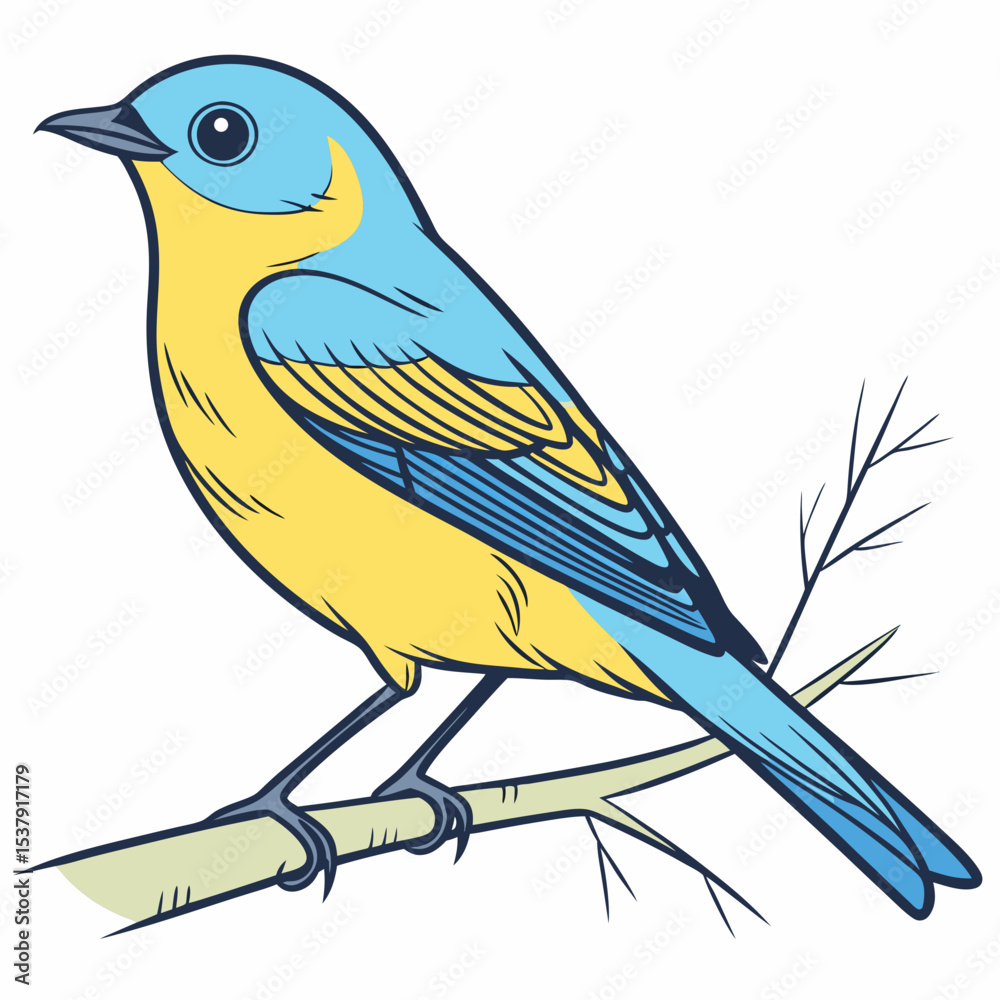 Obraz premium bird vector image