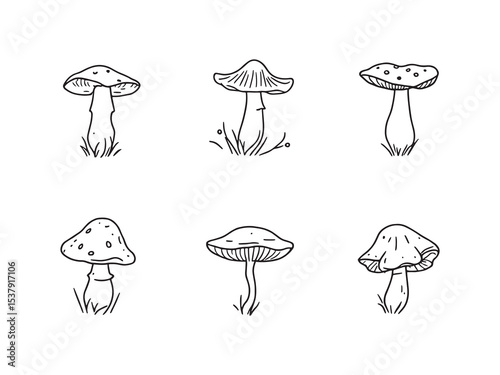 Forest mushroom Line Art Illustration